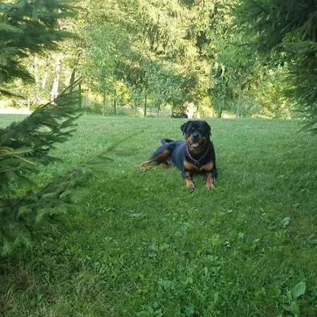 Σαλέ Kuca Za Odmor Gorski San