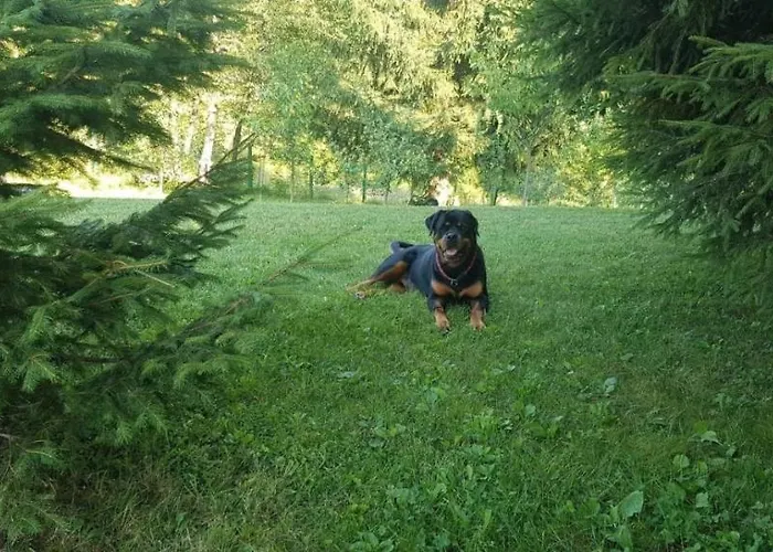 Chalet Kuca Za Odmor Gorski San