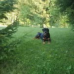 Alpehytte Kuca Za Odmor Gorski San